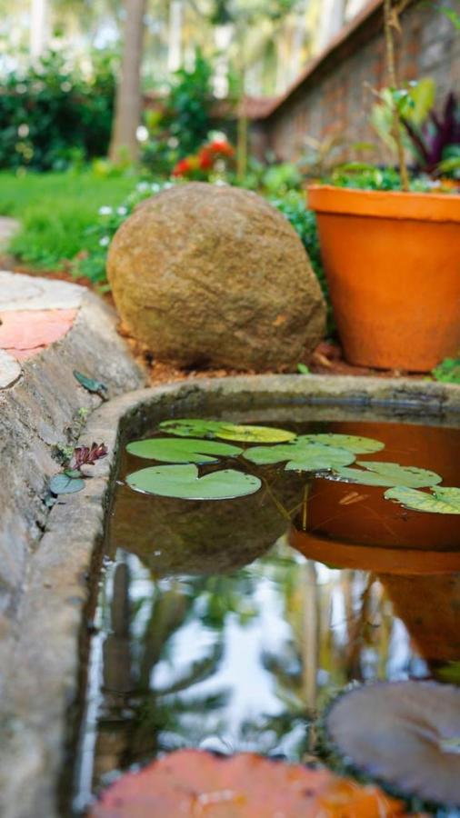 Dr Nisha'S Vedic Remedies Thiruvananthapuram Eksteriør billede